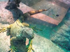 iphone_upload_pic-福州罗源湾海洋世界旅游区