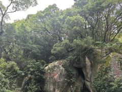 -青芝山风景名胜区