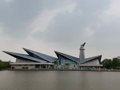 -盐城丹顶鹤湿地生态旅游区