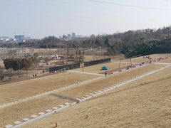 -佛手湖郊野公园