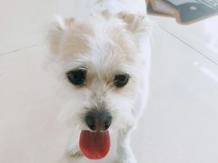 -美联众合24小时·皮肤科·外科·全科诊疗中心(华苑分院)