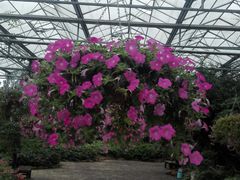 -南通洲际绿博园