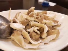 凤尾菇-麦香坊(伏波山店)