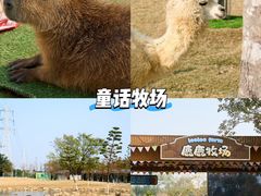 -盈香心动乐园