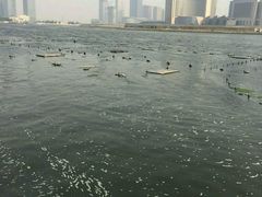 -海河外滩公园