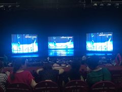 -三亚千古情景区游客中心-接待中心