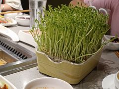 -海底捞火锅(百利广场店)