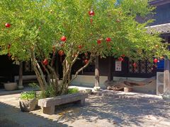 -鄞州雪菜博物馆