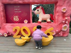 -无锡梅园公园