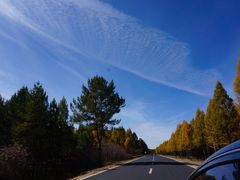 -塞罕坝国家级自然保护区