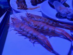 -萧邦音乐会所KTV·蒸汽活海鲜自助(福田店)