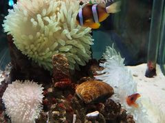 -太平洋海底世界