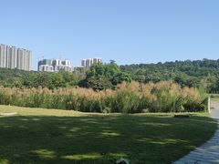 -广西壮族自治区药用植物园