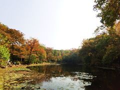 -灵谷景区