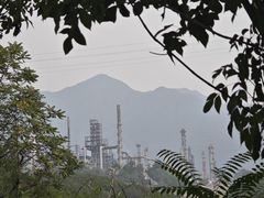 -白水寺森林公园