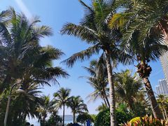 -碧桂园十里银滩