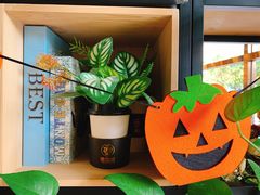 -ZING COFFEE 镜咖啡