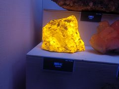 -湖南省地质博物馆