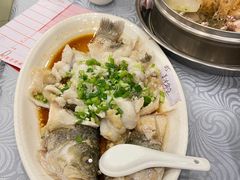 香葱淋鲈鱼-粤·向群饭店(龙津东路总店)