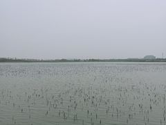 -天津东丽湖风景区