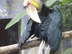 -杭州野生动物世界