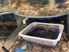 -鑫渔港海鲜本地菜·山海关浑锅(东戴河店)