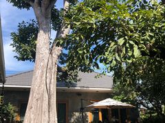 -Chom Cafe and Restaurant