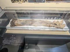 -巴音郭楞蒙古自治州博物馆