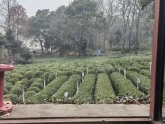 -野蔓果·山野菜(西湖景区·龙井茶田店)