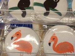 -ZOO COFFEE动物园咖啡(红山森林动物园店)