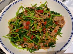香菜炒牛肉-壹盏灯(惠农店)