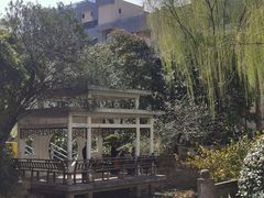 -兰溪青年公园