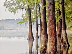-重庆彩云湖湿地公园