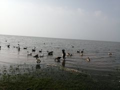 -鄱阳湖国家湿地公园