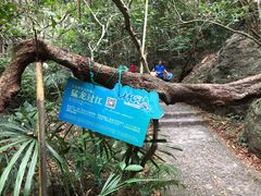 -七仙岭温泉国家森林公园