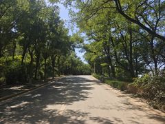-养马岛旅游度假区