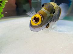 -北京海洋馆