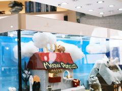 -喵园·猫主题咖啡厅·撸猫·猫咖(国贸店)