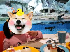 -帝企鹅自助餐厅•儿童岛•真企鹅(长隆企鹅酒店)