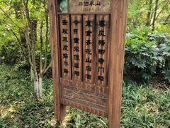 -杭州半山国家森林公园