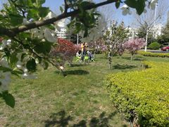 -山东大学(威海校区)