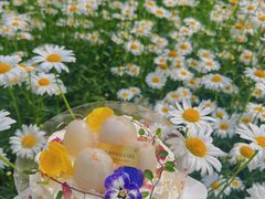 -卷心卷意·轻甜蛋糕(新光天地店)