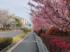-利达汤圆馄饨(川公路店)