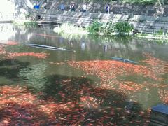 -普陀山风景名胜区-法雨禅寺