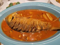 -阿五黄河大鲤鱼(英协路店)