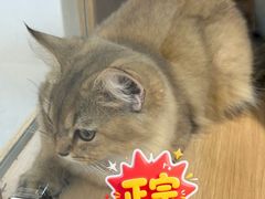 -新城市广场
