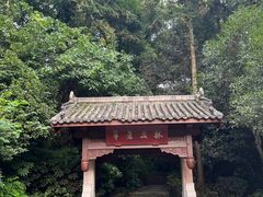 -杭州半山国家森林公园