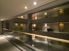 -河源万绿湖美思威尔顿酒店