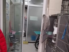 -北京观赏动物医院·24小时大型综合·猫专科·异宠专科