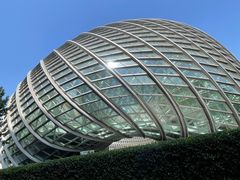 -凤凰中心